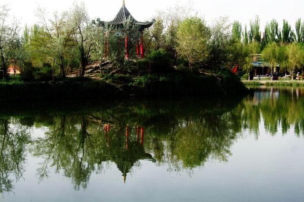 银川中山公园有什么好玩的地方-附旅游攻略