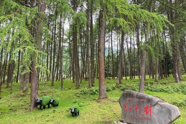 邵阳到海南旅游指南_行程表_景点推荐