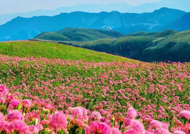 毕节阿西里西有什么好玩的