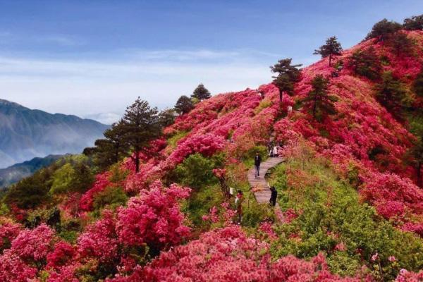 昌都到桂林旅游指南_行程表_景点推荐