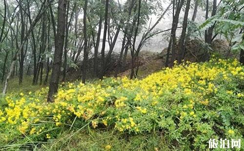 平凉虎山好玩吗 平凉虎山游玩攻略