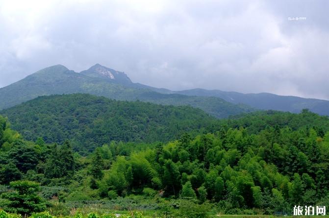 龙岩梁野山风景区攻略 龙岩梁野山旅游攻略