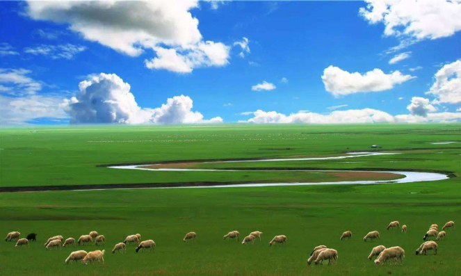 呼伦贝尔包车旅游价格-注意事项
