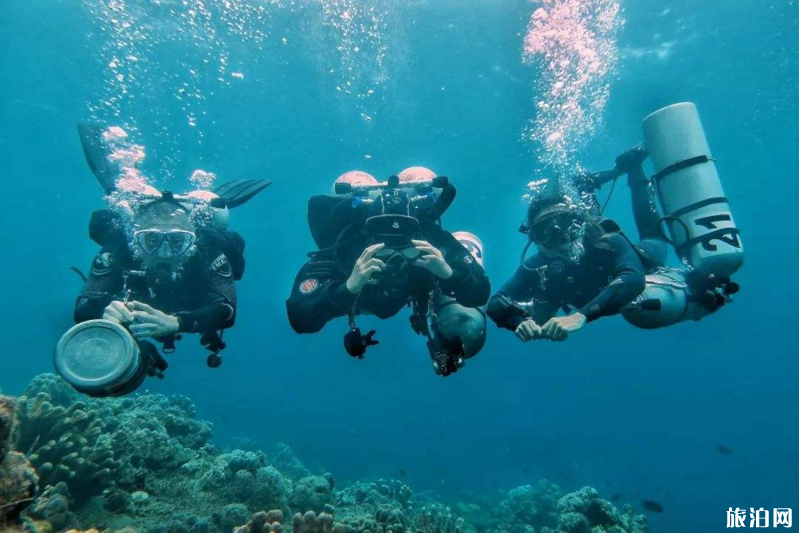 玉溪抚仙湖怎么玩 到达抚仙湖交通指南