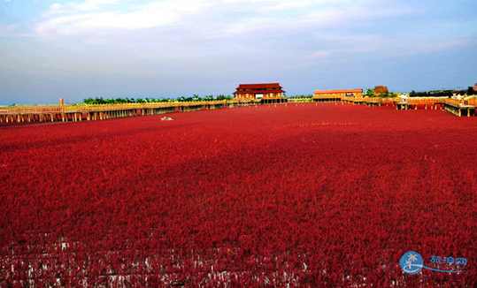 盘锦红海滩几月份去好 盘锦红海滩什么时候去最好