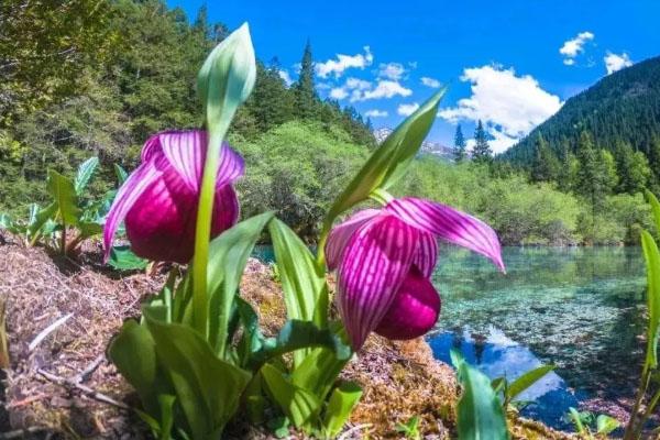 黔南至张家界旅游指南_行程表_景点推荐