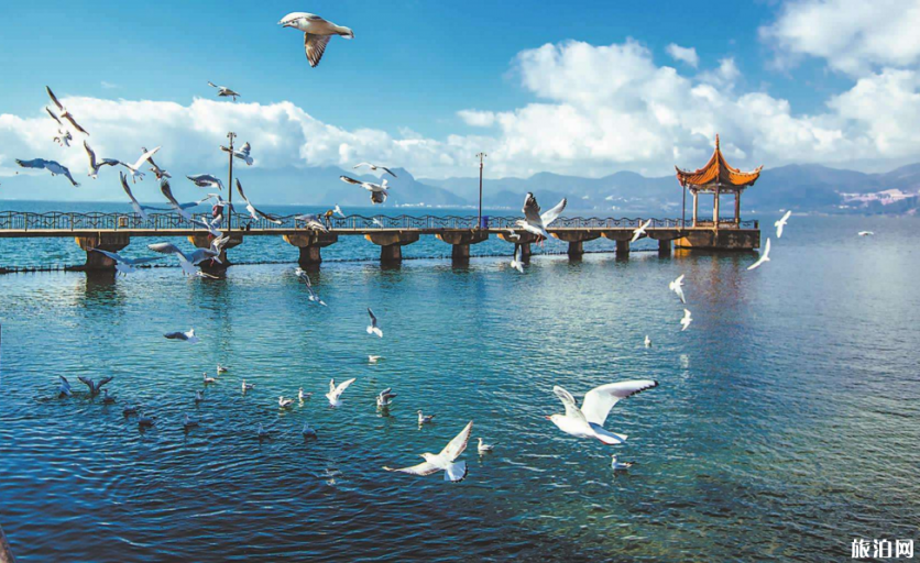 玉溪抚仙湖怎么玩 到达抚仙湖交通指南
