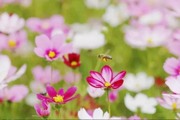 隐蔽洞穴门票团购？票价？门票类型